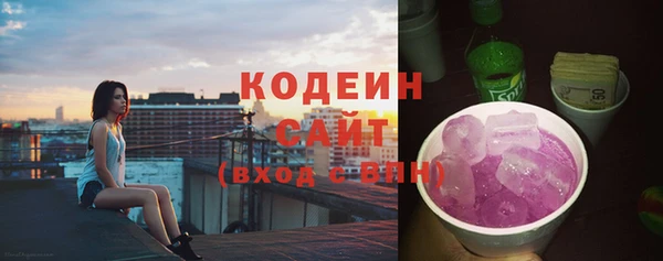 дурь Арсеньев